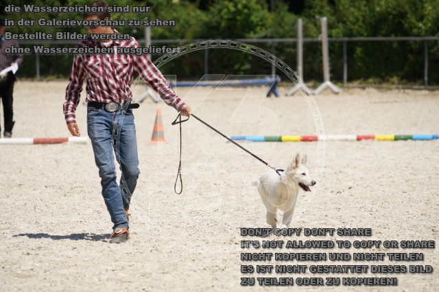 s_K3F01917.JPG